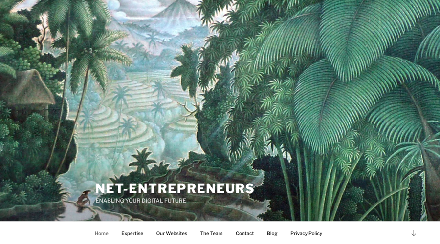 net-entrepreneurs